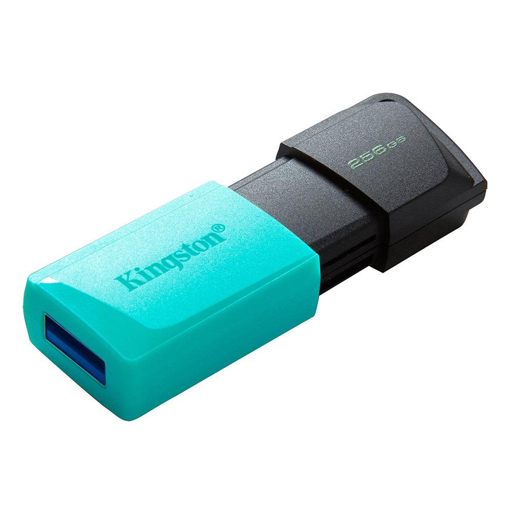 Kingston DataTraveler Exodia M 256GB USB 3.2 Flash Drive