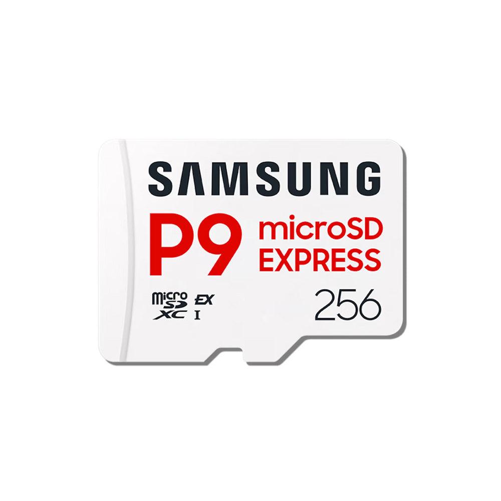 Samsung P9 Express 256GB microSD Card