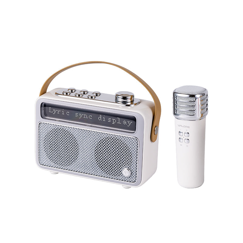 Valore Wireless Speaker with Microphone (SP-006)